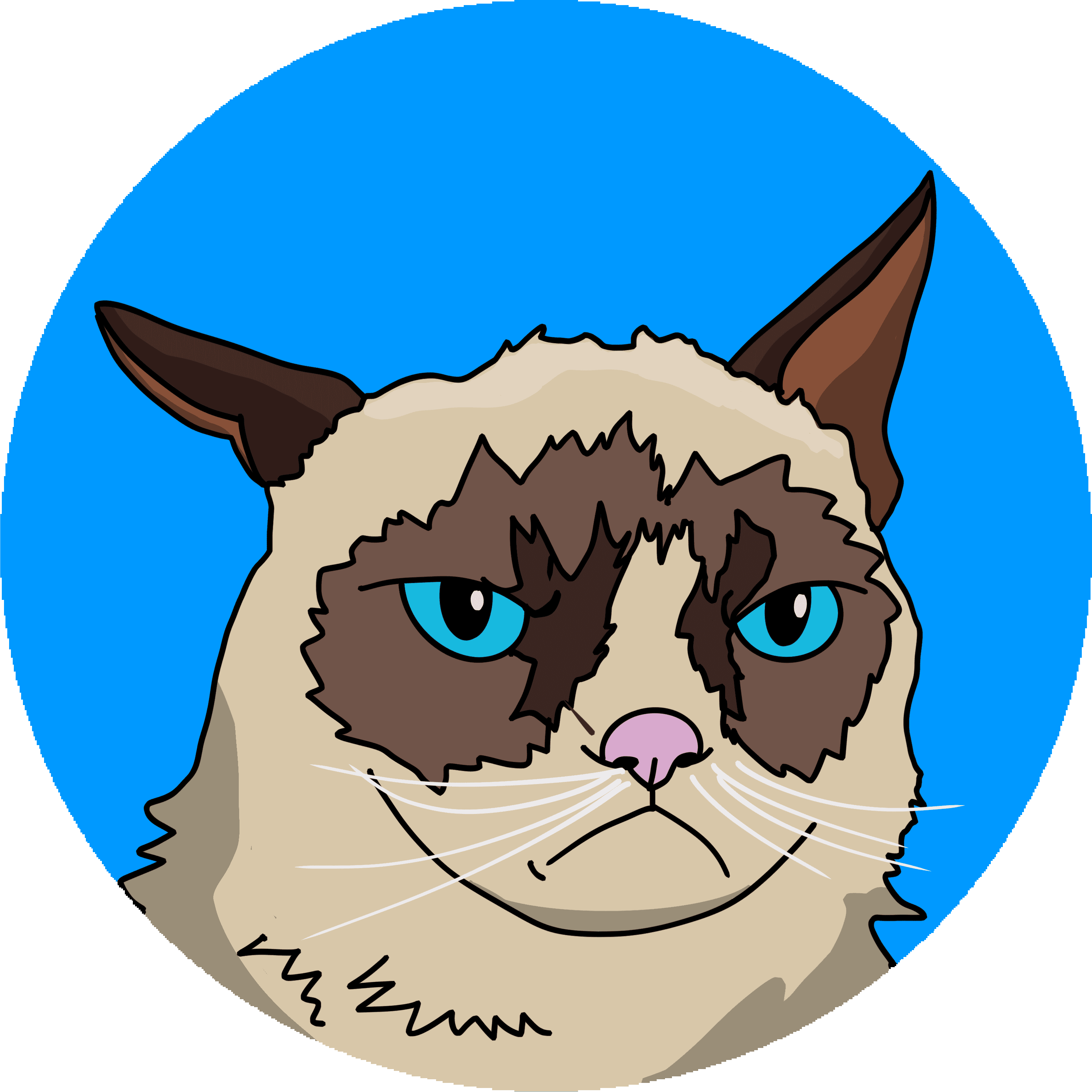 Grumpy Cat